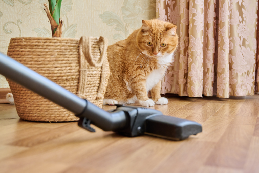 PAWS central vacuum